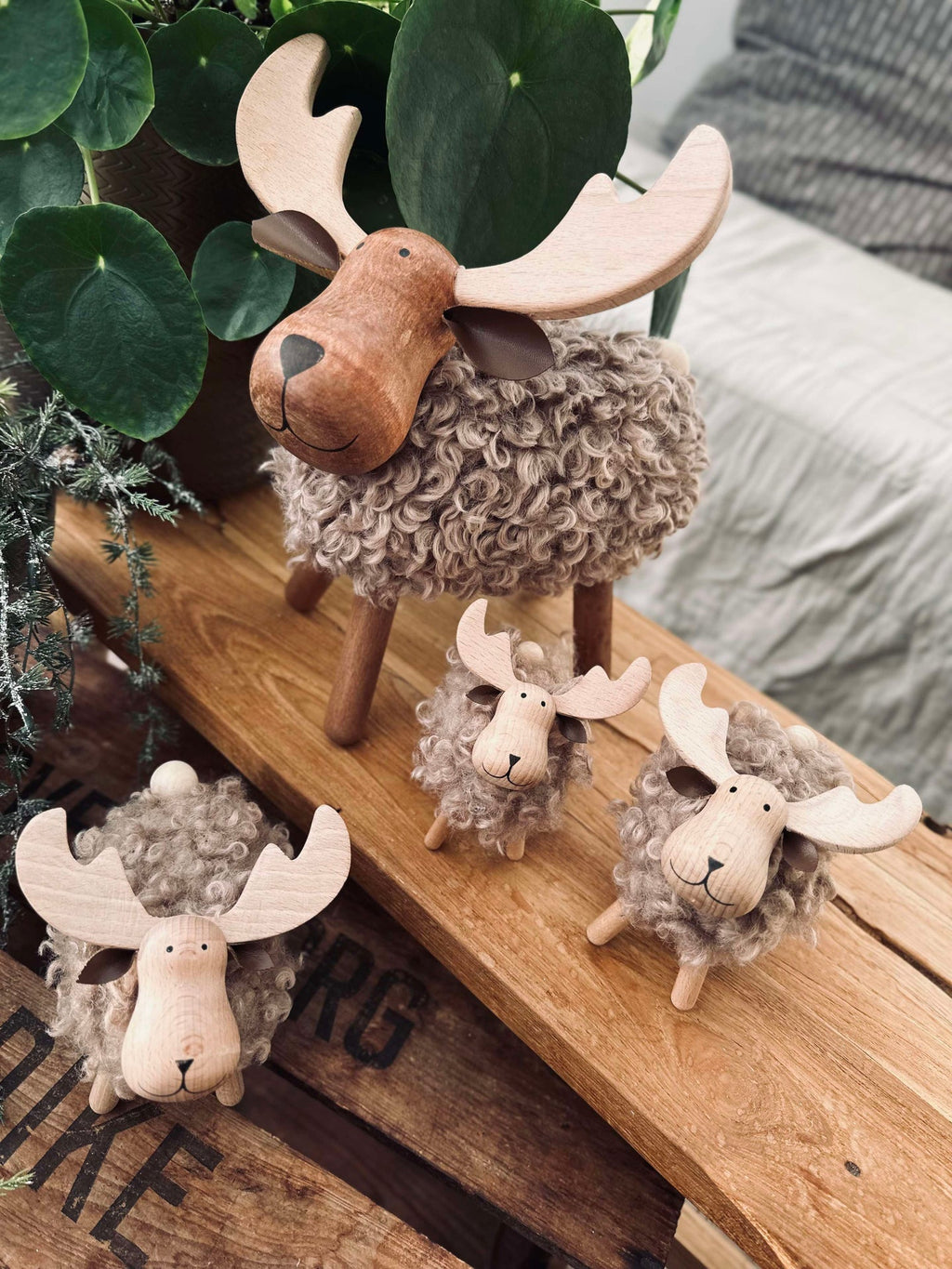 Älg Beige - X-Large