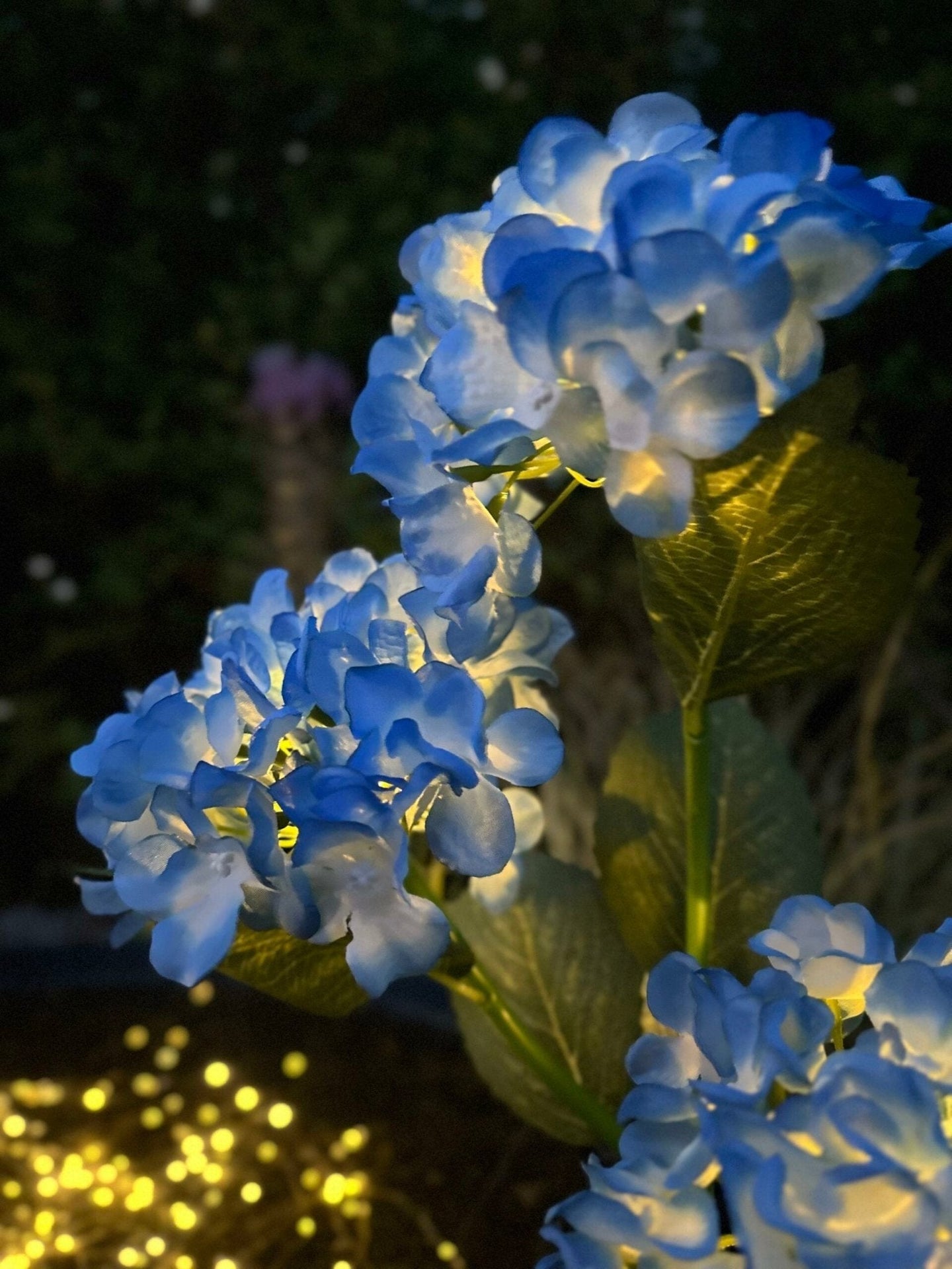 Hortensia med solceller – Blå
