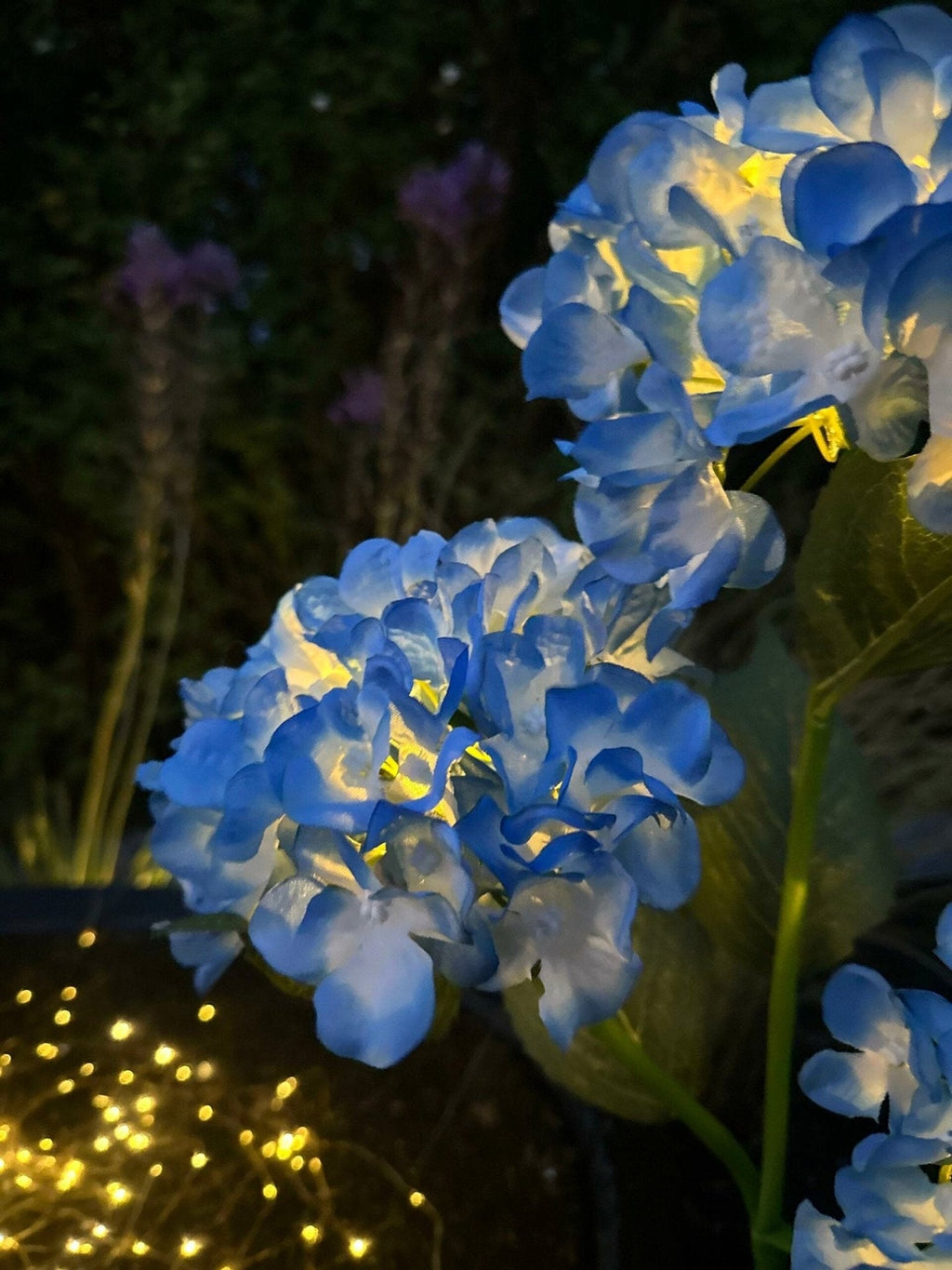 Hortensia med solceller – Blå