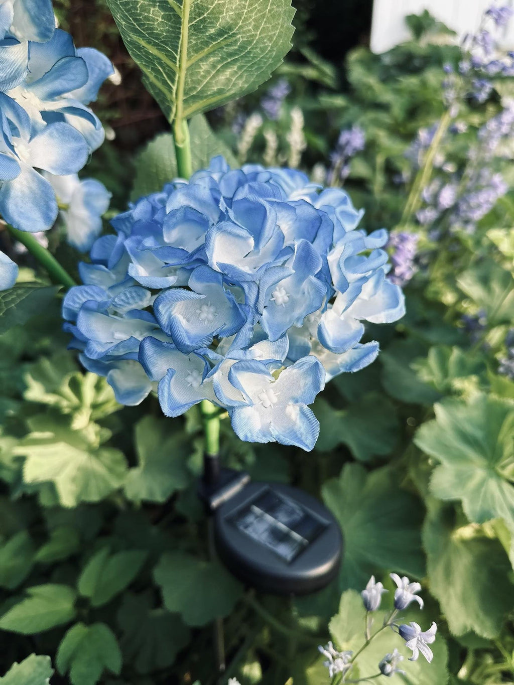 Hortensia med solceller – Blå