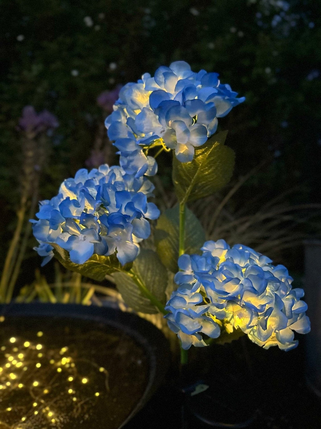 Hortensia med solceller – Blå