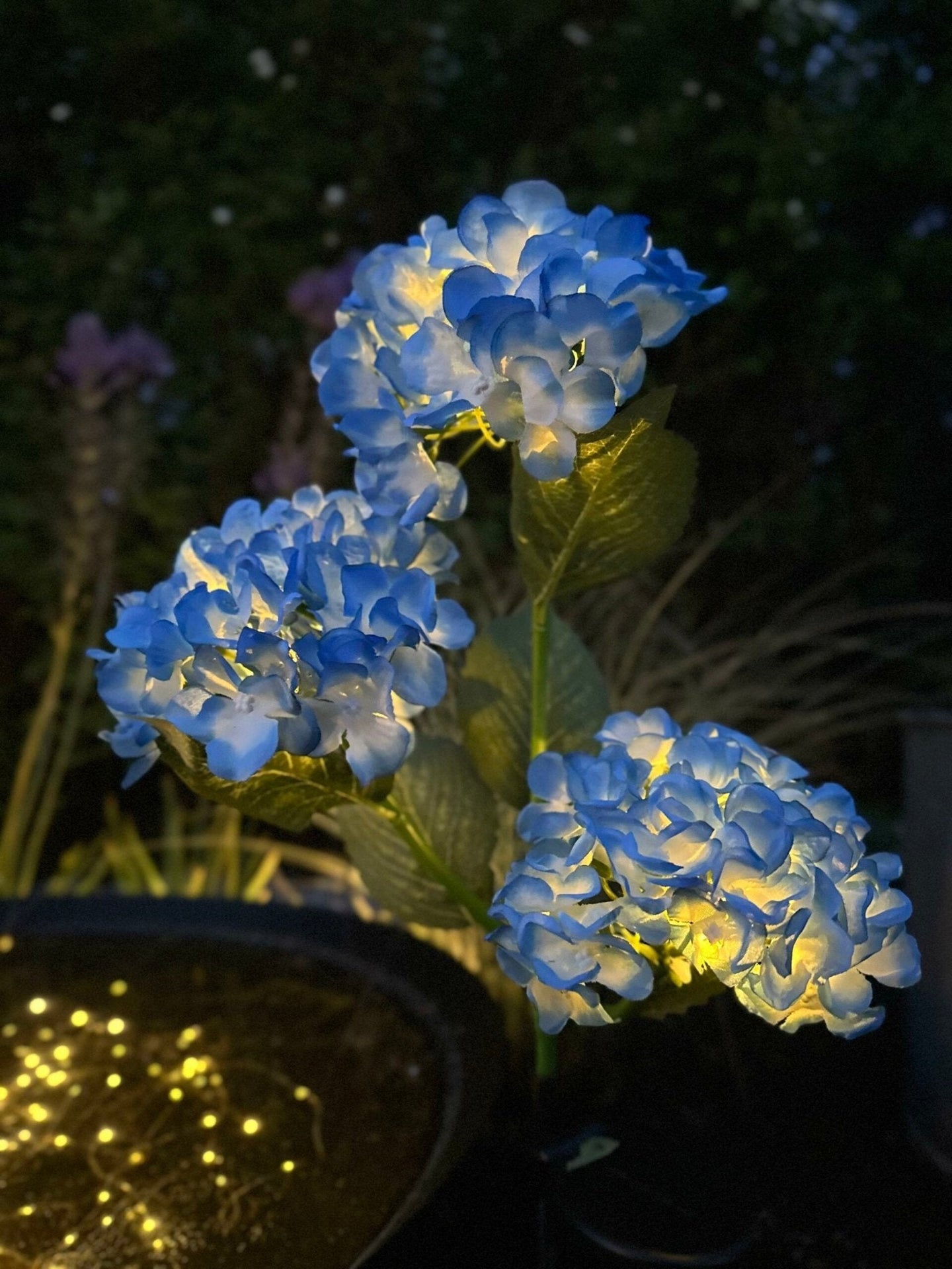 Hortensia med solceller – Blå