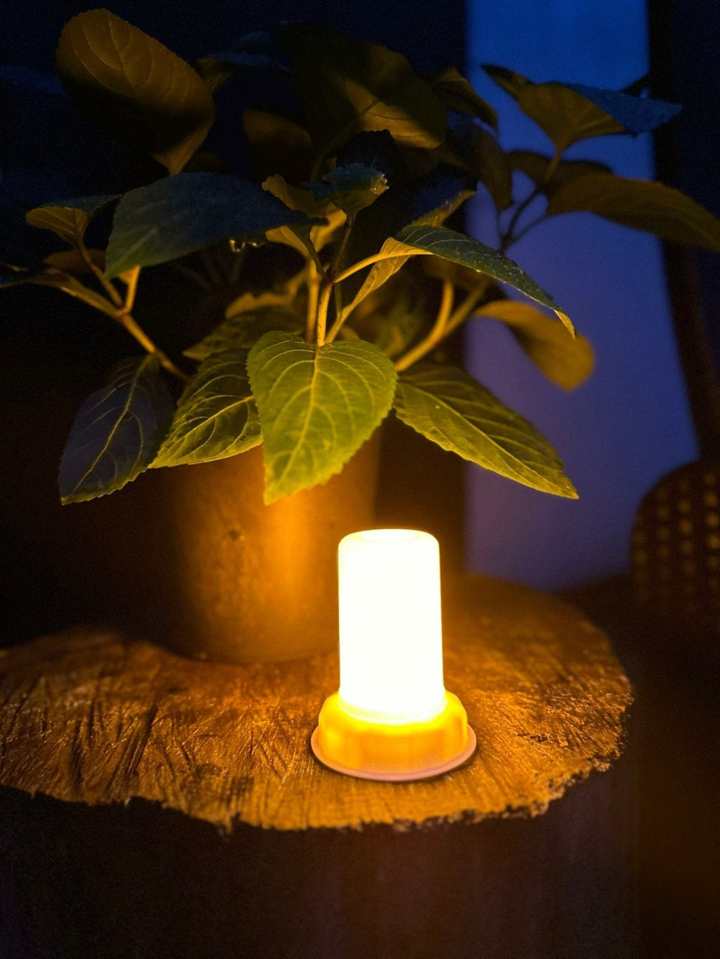 LED Låga - Bra för lyktor och pumpor