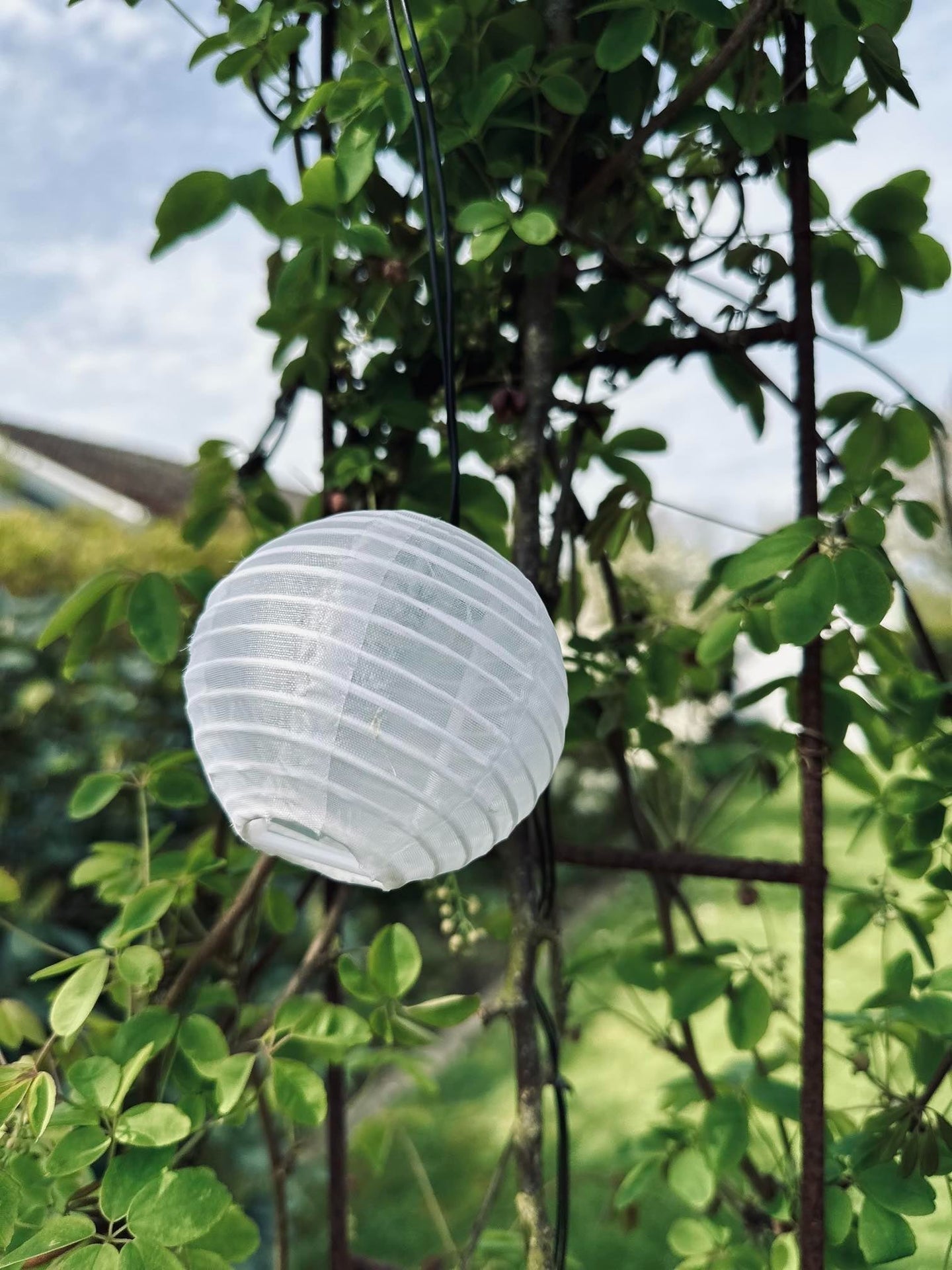 LED solcell ljusslinga, 10 vita bollar